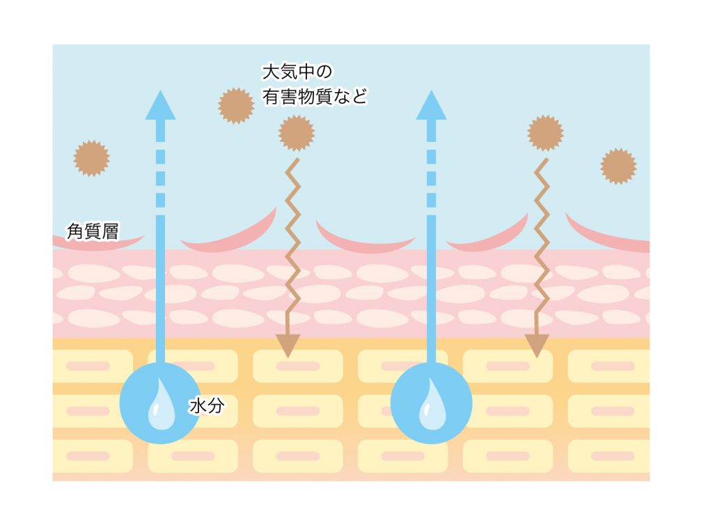 ターンオーバーが乱れた肌